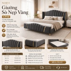 Giường Sò Nẹp Vàng